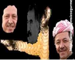 Yılan mı, yalan mı? Denize düşen Erdoğan, Barzani'ye sığındı