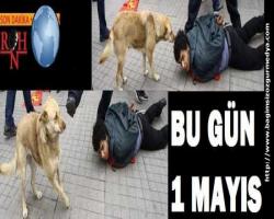 Sevgi emekçisine tekme...