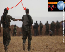 Yasal terörist grubu YPG'de Türkiye'den kaç kişi savaşıyor?