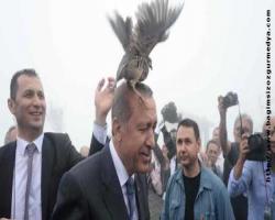 Erdoğan'ın kuşla imtihanı güldürdü