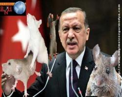 Erdoğan'dan 'yetkimi kullanırım' tehdidi