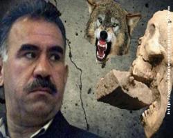 Baş vampir Öcalan: Kobanê'yi düşürürseniz, 4 kanton daha ilan ederim...