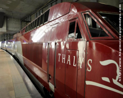 Thalys saldırganı İstanbul'a neden gitti?