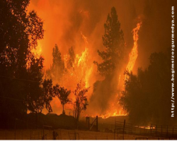 Kaliforniya yanıyor