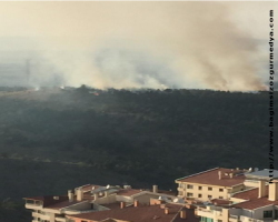 Gelen habere göre; ODTÜ Ormanı yanıyor