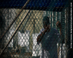 Guantanamo'daki 5 mahkûm serbest bırakıldı