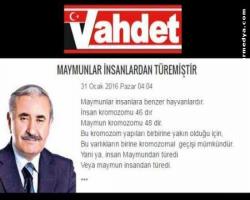 Kimin kimden ürediği tartışılırken; Şempanzelere saldırdı...