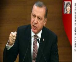 Emine Kaplan bildiiryor : Erdoğan'ın 330 hesabı