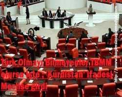 Türk Olmayı Bilmeyenler TBMM olursa işte ; 'Kürdistan' ifadesi Meclise girdi