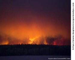 Kanada’da orman yangınları durdurulamıyor