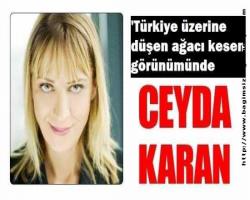 Ceyda Karan bildiriyor: 'Türkiye üzerine düşen ağacı kesen görünümünde'