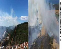 DHA: İstanbul Maltepe'de orman yangını, A.A: Çanakkale'deki orman yangını kontrol altına alındı...